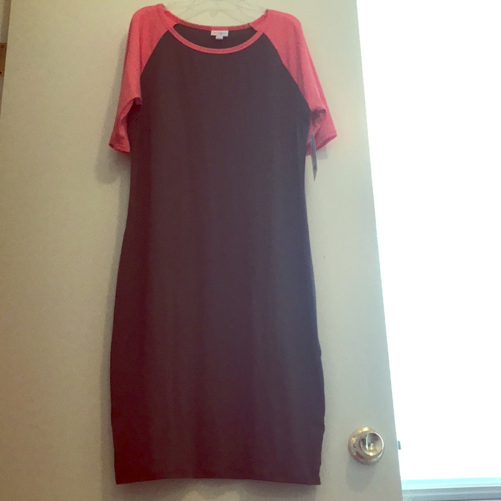 NWT Gray and pink raglan LuLaRoe Julia dress